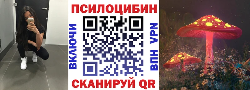 закладка  Кашира  Галлюциногенные грибы Magic Shrooms 